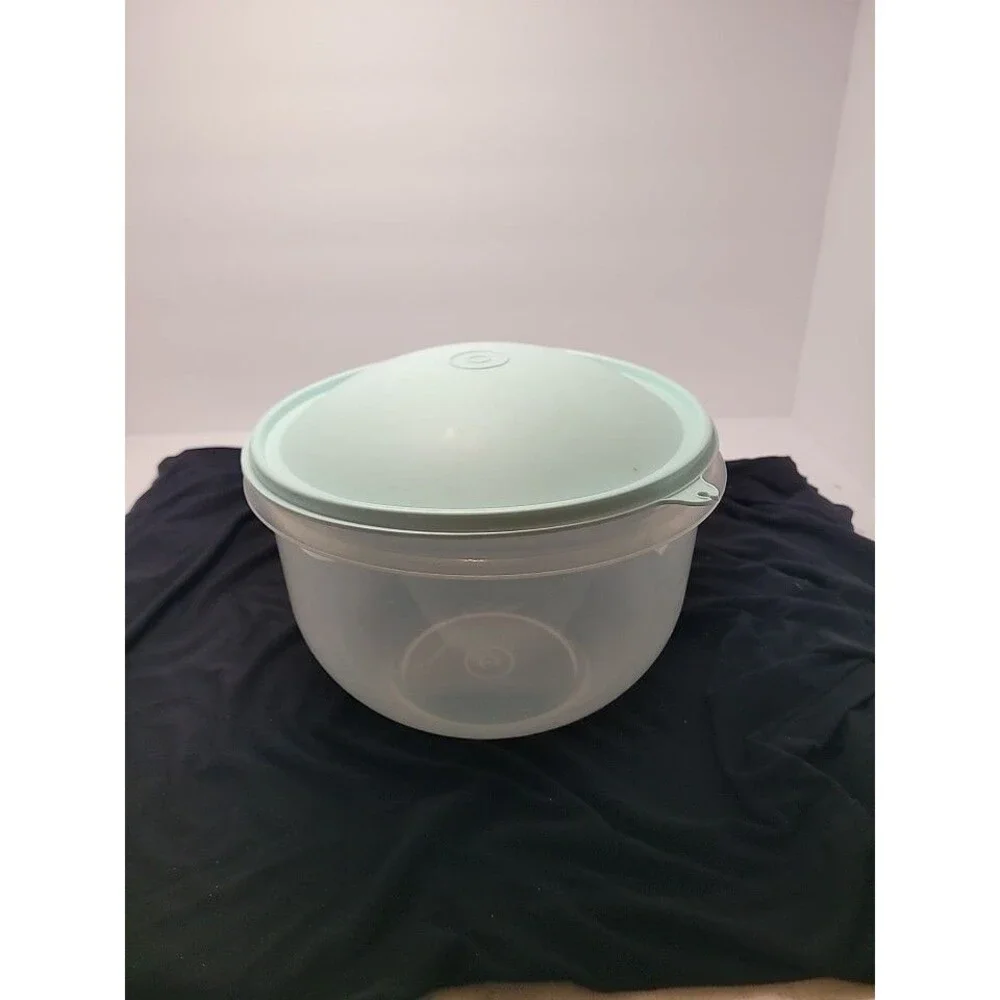 Vintage Tupperware Lettuce Keeper Storage 1424-4  w/Mint Lid